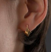 Carica l&#39;immagine nel visualizzatore di Gallery, Sculp Earrings
