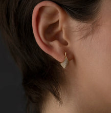 Carica l&#39;immagine nel visualizzatore di Gallery, Zircon Sculpt Earrings
